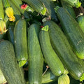 Orti di Mercurio<br>ZUCCHINE