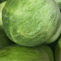 Orto dalla Luna<br>BARATTINI