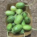 Orto dalla Luna<br>CETRIOLINI INDIANI