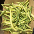 Orto dalla Luna<br>FAGIOLINI GOLDEN