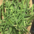 Orto dalla Luna<br>FAGIOLINI OCCHIPINTI