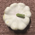 Orto dalla Luna<br>ZUCCHINE SPICCHIO DI LUNA