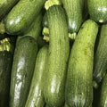 Orto dalla Luna<br>ZUCCHINE VERDI