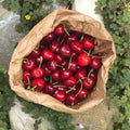 Orto dalla Luna<br>CILIEGIE