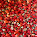 Orto dalla Luna<br>FRAGOLINE