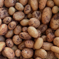 Orto dalla Luna<br>PATATE