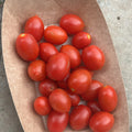 Orto dalla Luna<br>POMODORO ROSSO
