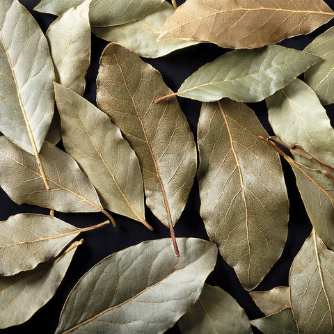 Il Regno Magico<br>ALLORO