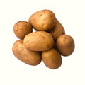 Regen Farm <br>PATATE