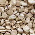Mond Daur <br> CICERCHIE