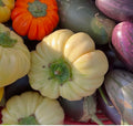 Orto dalla Luna<br>MELANZANE MIX PER CAPONATA