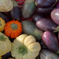 Orto dalla Luna<br>MELANZANA MIX