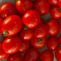 Orto dalla Luna<br>POMODORO ROSSO DA SALSA