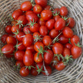 Orto dalla Luna<br>POMODORO PENNOLO VESUVIANO