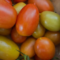 Orto dalla Luna<br>POMODORO SAN MARZANO ROSSO