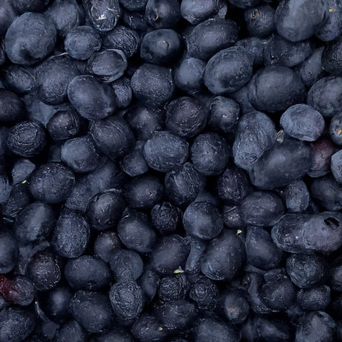 Macchia della Grotta<br>OLIVE PASOLE