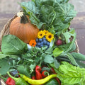Orti di Mercurio <br>BOX