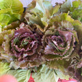 Orti di Mercurio <br>INSALATA AL PEZZO